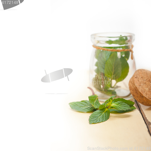 Image of fresh mint leaves on a glass jar