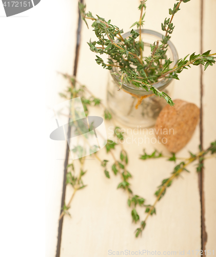 Image of fresh thyme on a glass jar