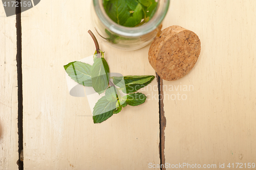 Image of fresh mint leaves on a glass jar