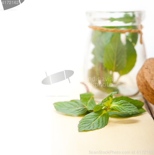 Image of fresh mint leaves on a glass jar