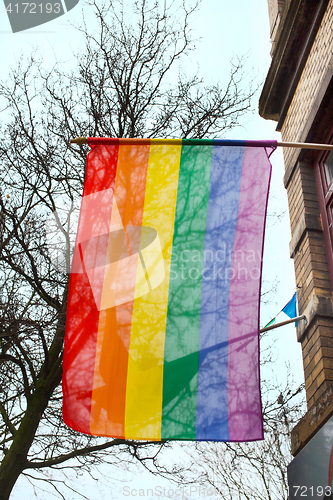 Image of Gay rainbow flag