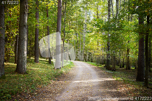 Image of pathway in a forest