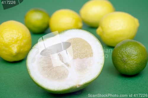 Image of Citrus