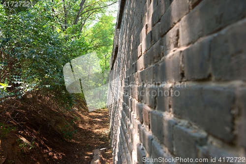 Image of Hidden path in the forest