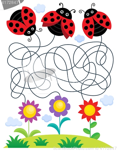 Image of Maze 25 with ladybugs and flowers