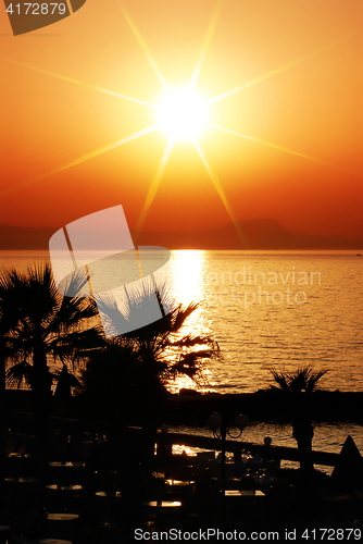 Image of silhouette of palms at sunset