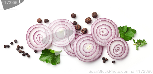 Image of red onion and various spices on white background