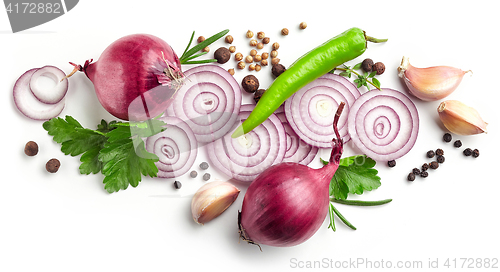 Image of red onions, garlic and various spices on white background