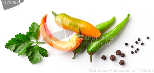 Image of Various chili peppers and parsley
