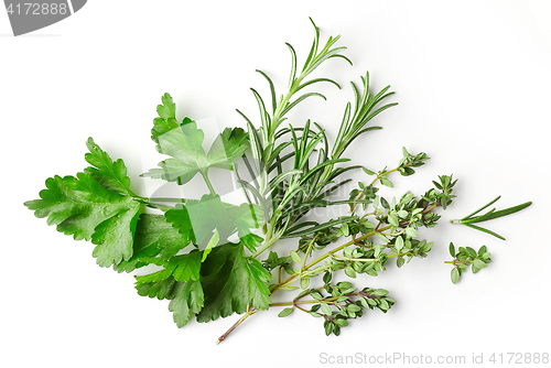 Image of fresh green spices on white background