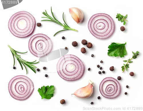 Image of red onion and spices on white background