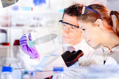 Image of Life science researchers observing blue solution in laboratory.