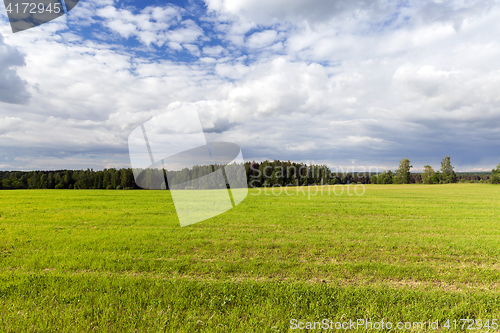 Image of Field with cereal