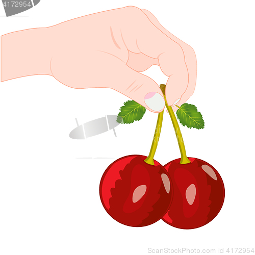 Image of Berry cherry in hand