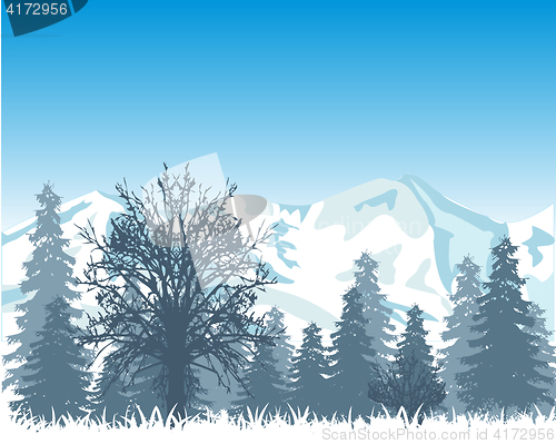 Image of Winter wood and mountains