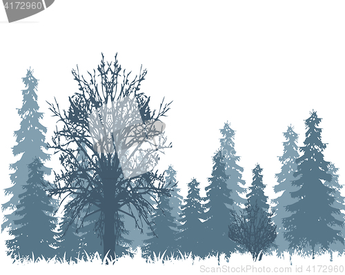 Image of Winter in wood