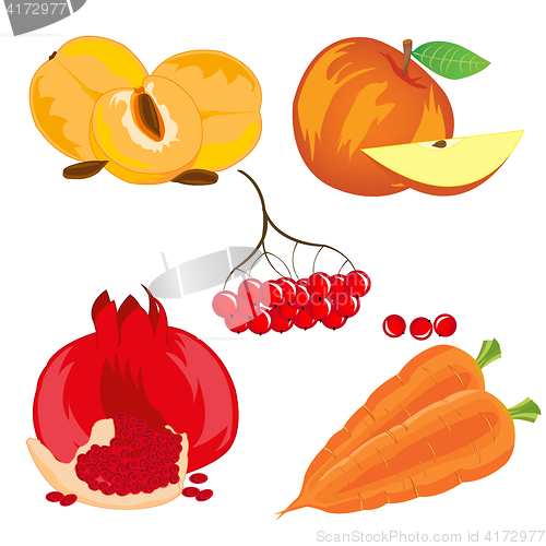 Image of Fruits vegetables and berry