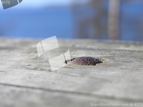 Image of metal nail in wood