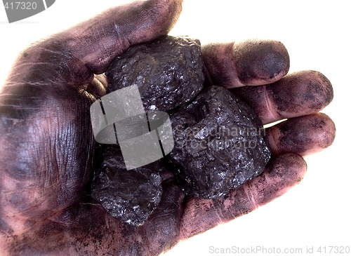 Image of Pieces of coal in dirty palm