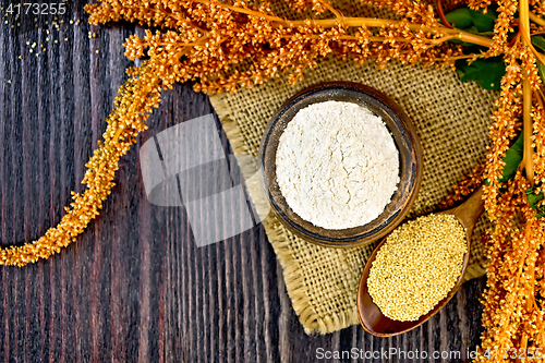 Image of Flour amaranth in bowl with spoon and flower on board top