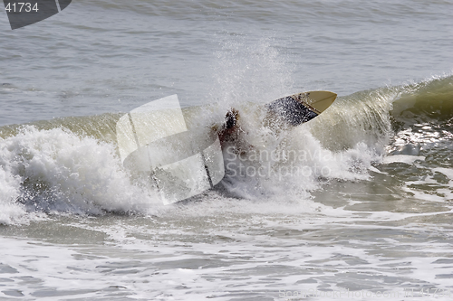 Image of Surfer