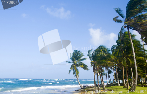 Image of Sally Peaches Beach Big Corn Island Nicaragua Central America on