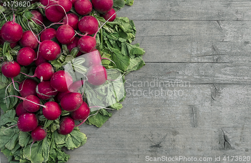 Image of Radishes