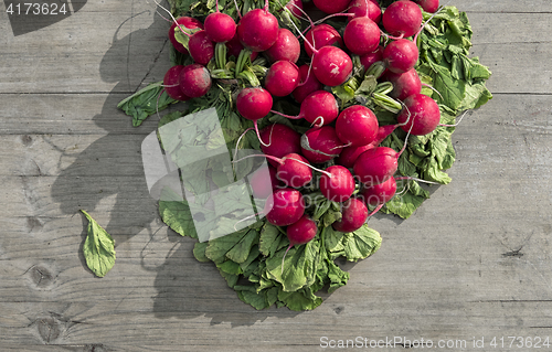 Image of Radishes