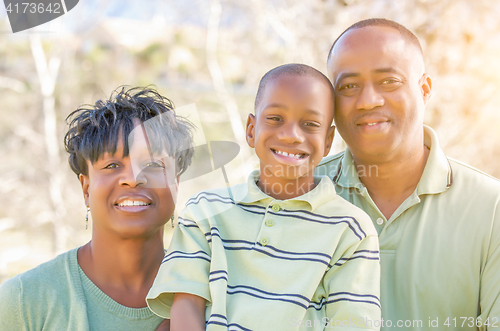 Image of Beautiful Happy African American Family Portrait Outdoors