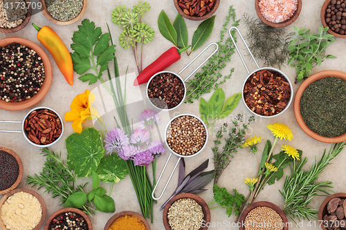 Image of Dried and Fresh Herbs and Spices