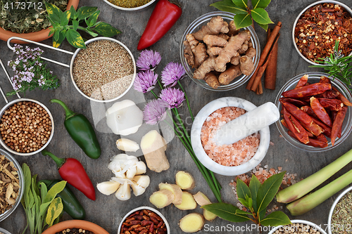 Image of Fresh and Dried Herb and Spice Collection