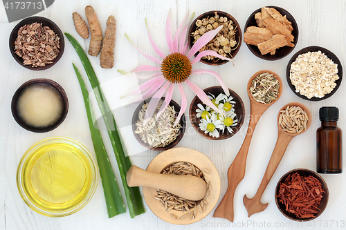 Image of Herbal Skincare with Healing Ingredients