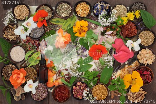 Image of Dried Medicinal Flowers and Herbs 