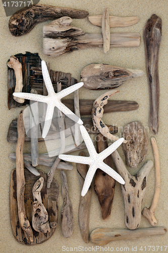 Image of Starfish and Driftwood Abstract 