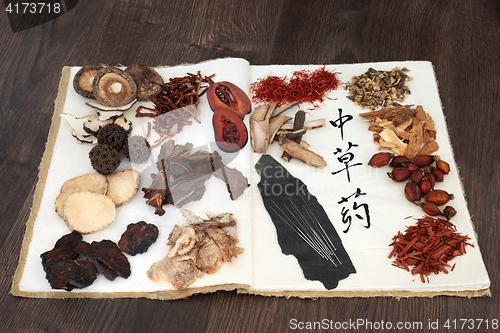 Image of Chinese Herbs and Acupuncture Needles 