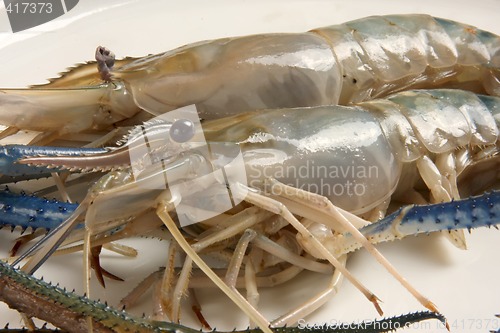 Image of Whole raw prawns