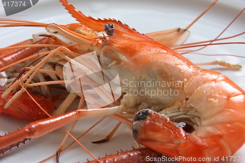 Image of Cooked prawn