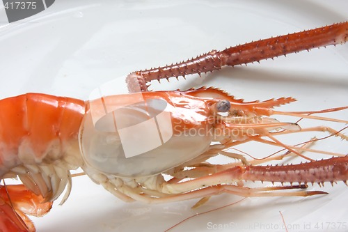 Image of Cooked prawn