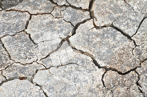 Image of Cracked earth in a Danish landscapes in the summer