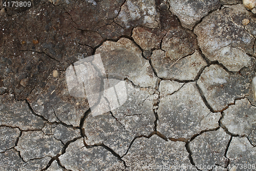 Image of Cracked earth in a Danish landscapes in the summer