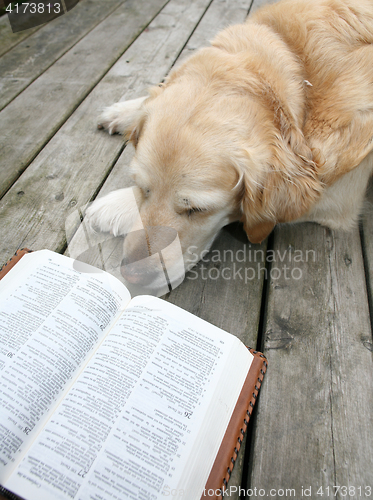 Image of dog reading