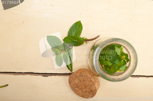 Image of fresh mint leaves on a glass jar