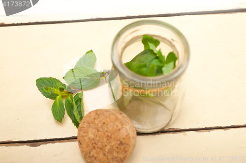 Image of fresh mint leaves on a glass jar