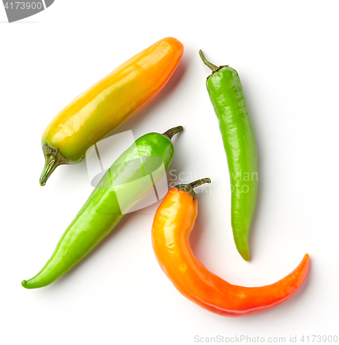 Image of various chili peppers on white background