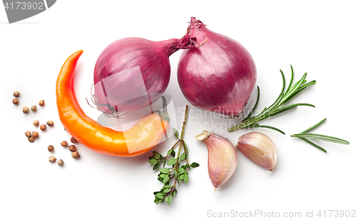 Image of red onions and spices on white background