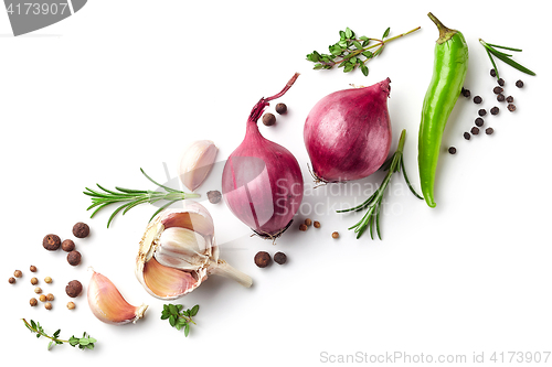 Image of red onions and spices on white background