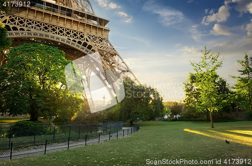 Image of Lawn near Eiffel Tower
