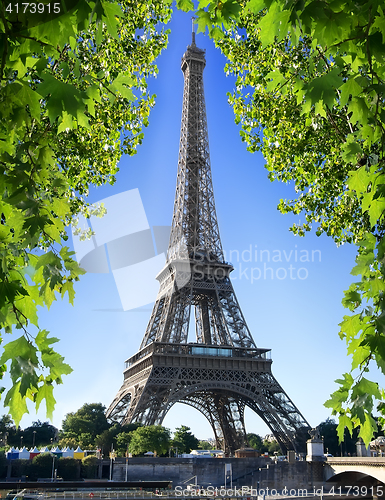 Image of Eiffel Tower and nature