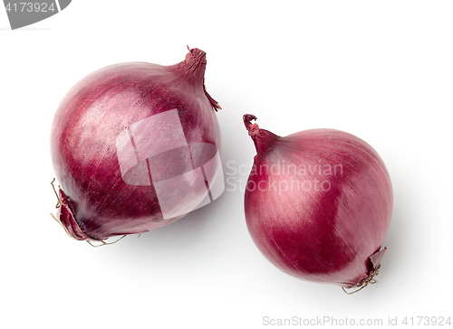 Image of red onions on white background