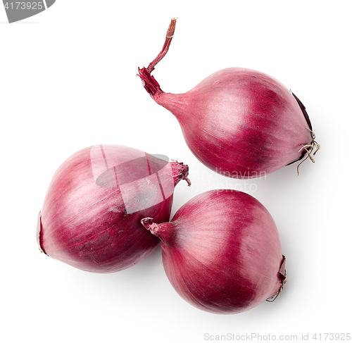 Image of red onions on white background